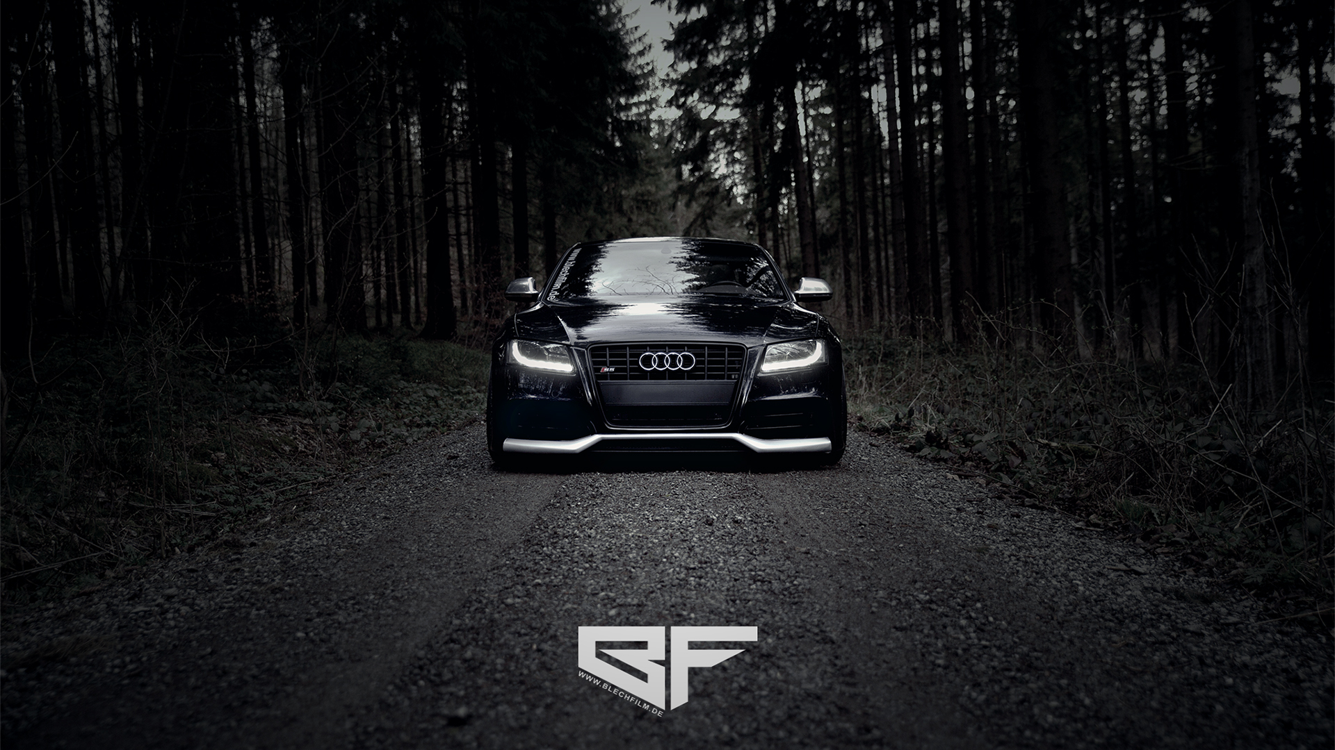 Audi S5 Forest